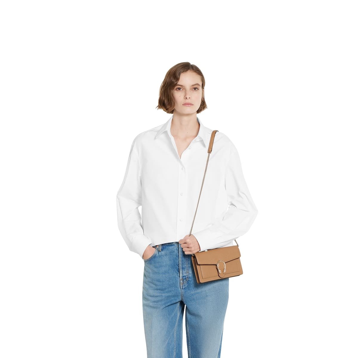 Gvc*1 Dionysus wallet on chain