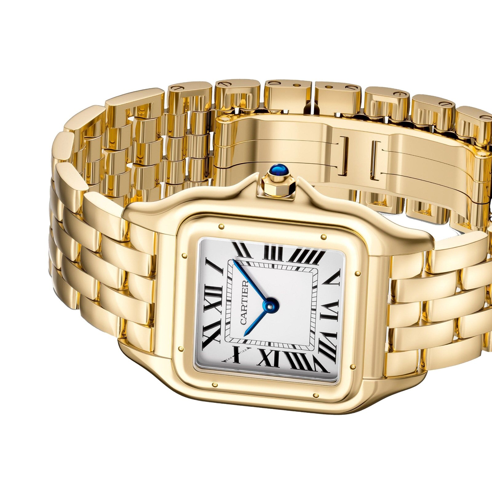 Panthère de Ca*t1er
