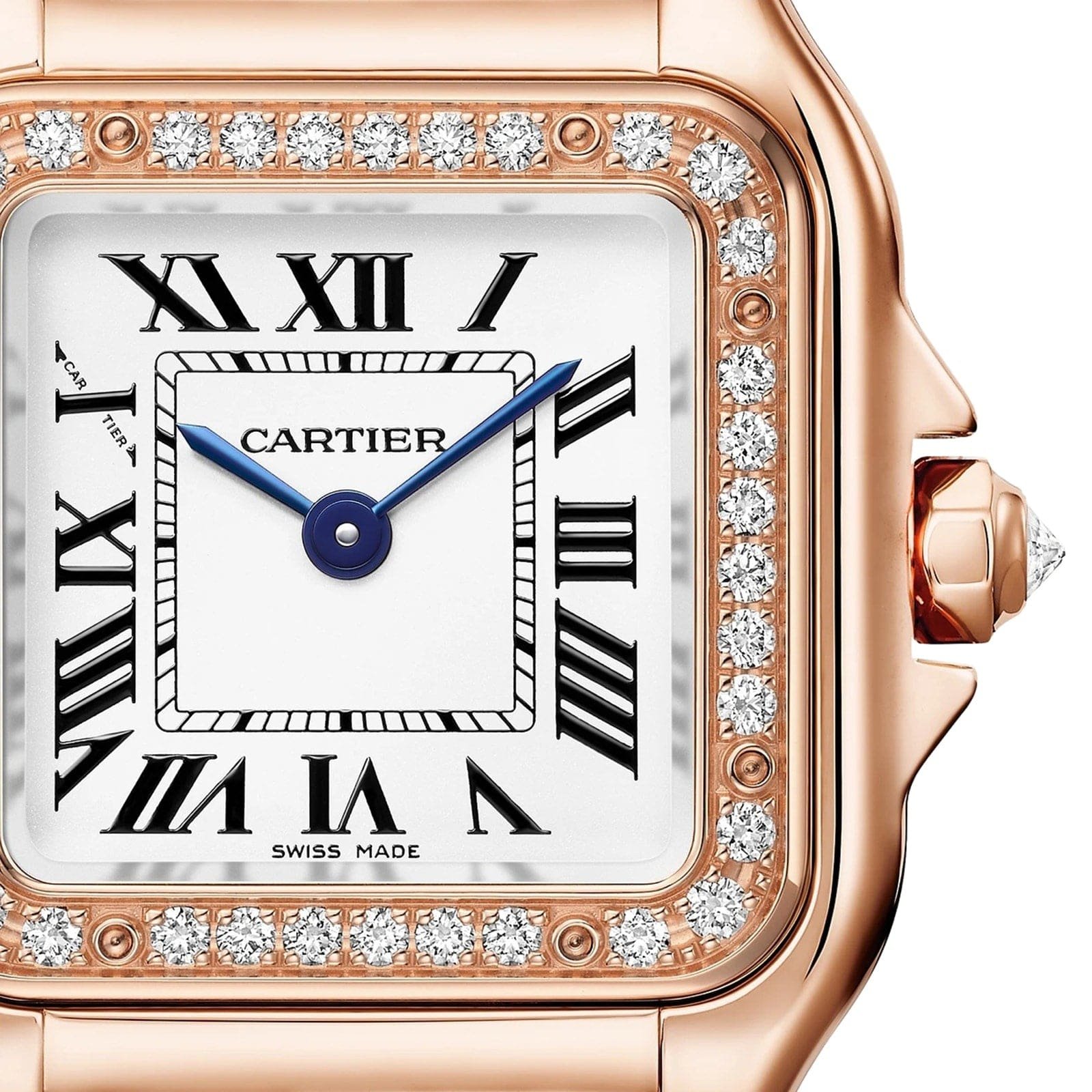 Panthère De Ca*t1er Watch