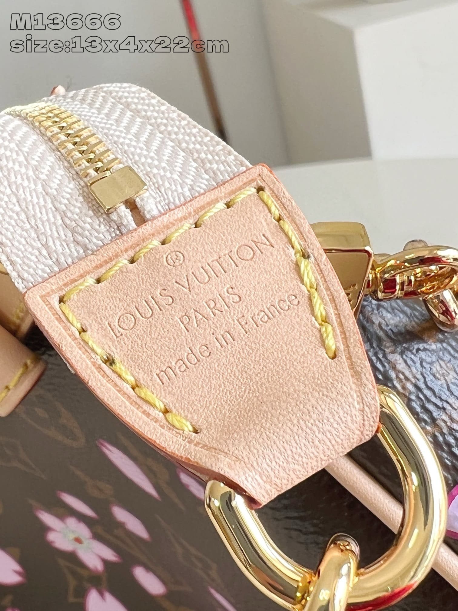 L0vis Vvtt0n M13666 LV x TM Pochette Accessoires