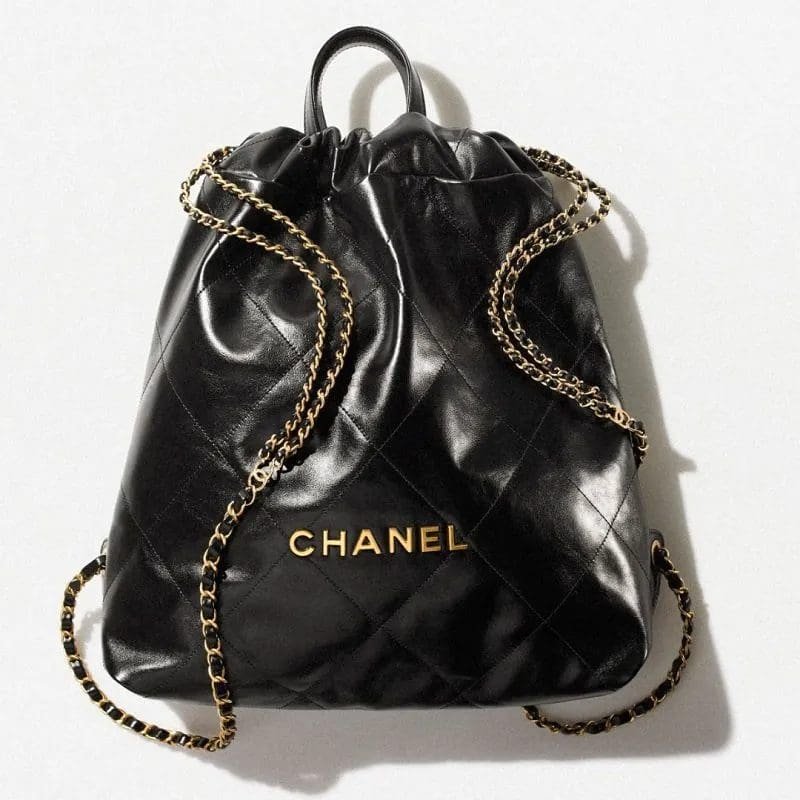 LARGE BACK PACK Ch**el 22
